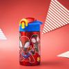 imageZak Designs 155oz Stainless Steel Kids Water Bottle with Flipup Straw Spout  BPA Free Durable Design Frozen Girl SSSpidey and His Amazing Friends
