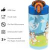 imageZak Designs Sonic the Hedgehog Sage Kids Water Bottle For School or Travel 16oz Durable Plastic Water Bottle With Straw Handle and LeakProof PopUp Spout Cover 2Pack Set Sonic ampamp ShadowBluey Bottle 2pk