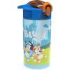 imageZak Designs Sonic the Hedgehog Sage Kids Water Bottle For School or Travel 16oz Durable Plastic Water Bottle With Straw Handle and LeakProof PopUp Spout Cover 2Pack Set Sonic ampamp ShadowBluey Bottle 2pk