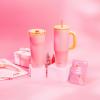 imageZak Designs Sutton Travel Tumbler for On the Go 30oz Stainless Steel with Vacuum Insulation Straw Spout Carry Handle for Cold Drinks Vanilla YellowSo Sweet Pink 30oz