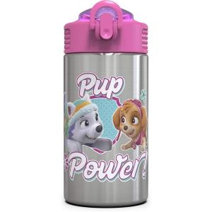 imageZak Designs 155oz Stainless Steel Kids Water Bottle with Flipup Straw Spout  BPA Free Durable Design Frozen Girl SSPaw Patrol Skye