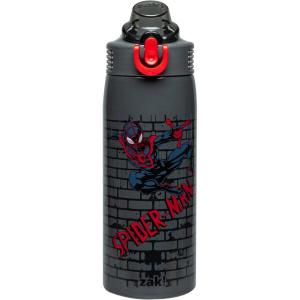 imageZak Designs Minecraft Sage Kids Water Bottle For School or Travel 19oz Stainless Steel Water Bottle With Straw Handle and LeakProof PopUp Spout Cover Steve Alex MobsSpiderMan Sage