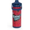 imageZak Designs Beacon Insulated Bottle Disney Minnie Mouse  14 oz  Durable Stainless Steel  DoubleWall Vacuum Insulation Silicone Spout ampamp PushButton LeakProof Lid  Dishwasher SafeMiraculous Ladybug