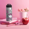 image:imageZak Designs Star Wars The Mandalorian Sage Kids Water Bottle For School or Travel 19oz Stainless Steel Water Bottle With Straw Handle and LeakProof PopUp Spout Cover Grogu Din DjarinHello Kitty