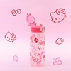 image:imageZak Designs Marvel Sage Kids Water Bottle For School or Travel 16oz Durable Plastic Water Bottle With Straw Handle and LeakProof PopUp Spout Cover SpiderManHello Kitty